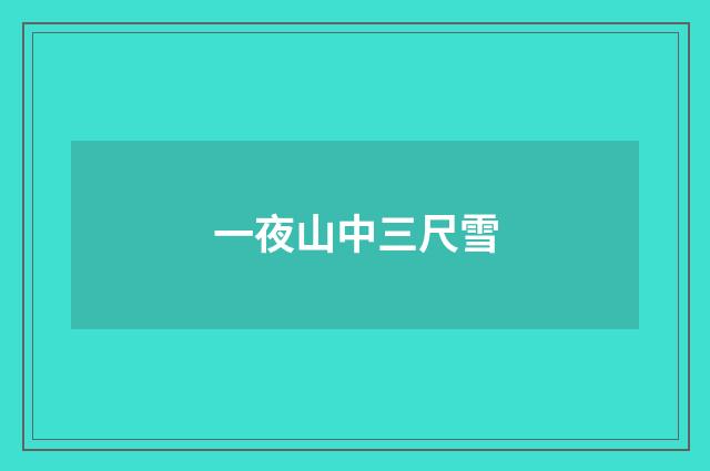 一夜山中三尺雪