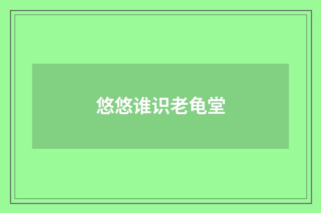 悠悠谁识老龟堂