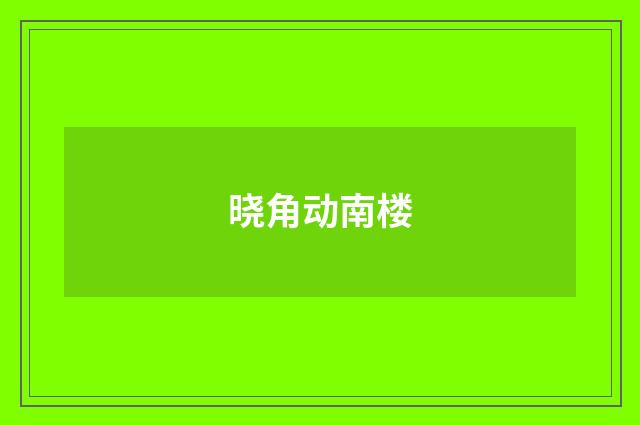 晓角动南楼