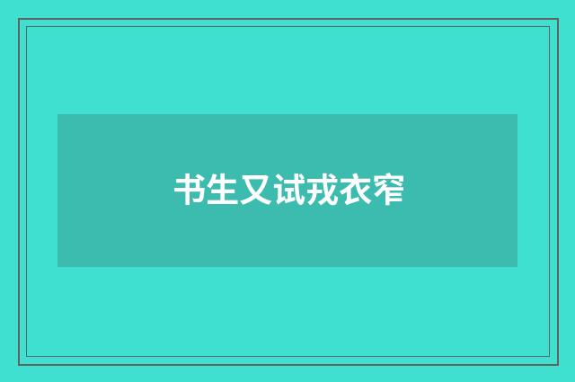 书生又试戎衣窄