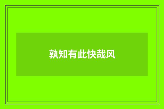 孰知有此快哉风