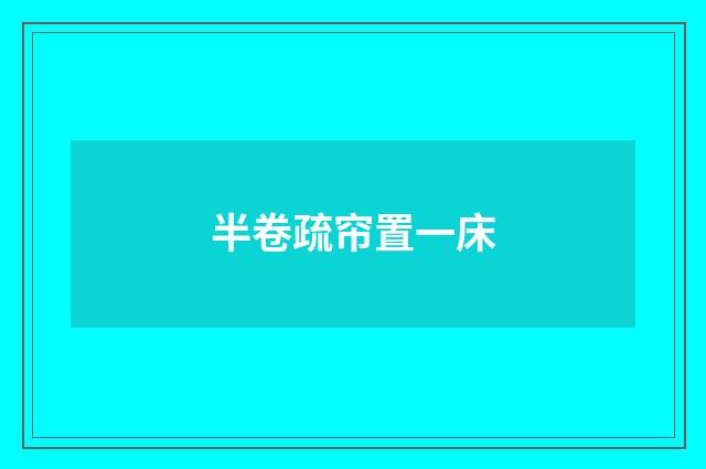 半卷疏帘置一床