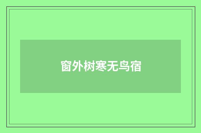 窗外树寒无鸟宿