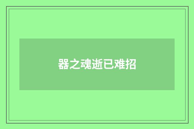 器之魂逝已难招