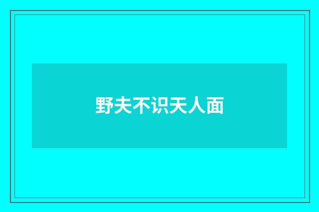 野夫不识天人面