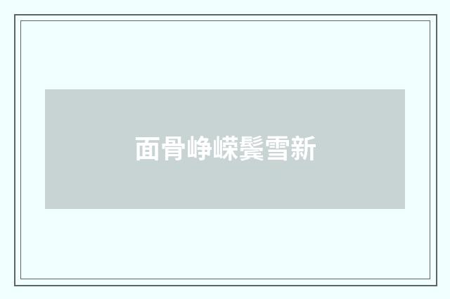 面骨峥嵘鬓雪新