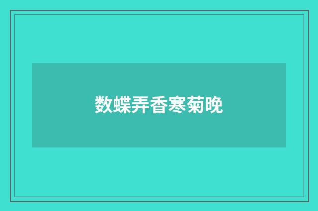 数蝶弄香寒菊晚