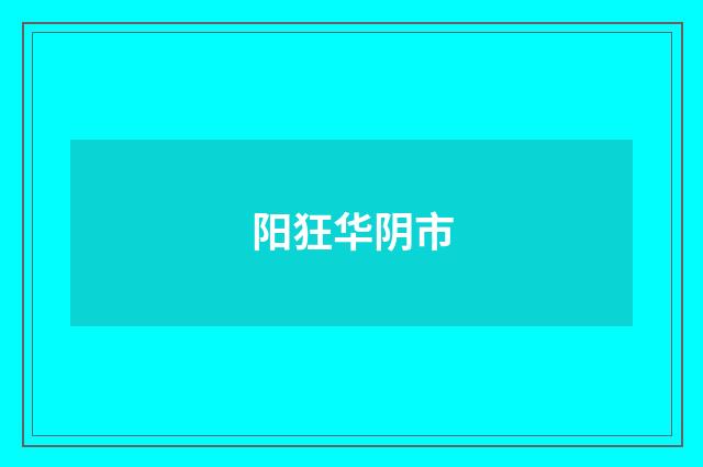 阳狂华阴市