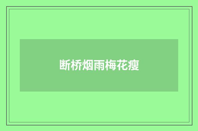 断桥烟雨梅花瘦