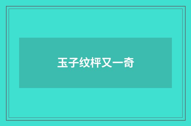 玉子纹枰又一奇