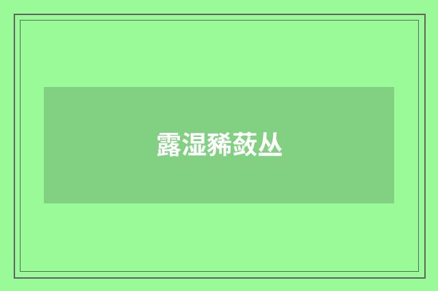 露湿豨蔹丛