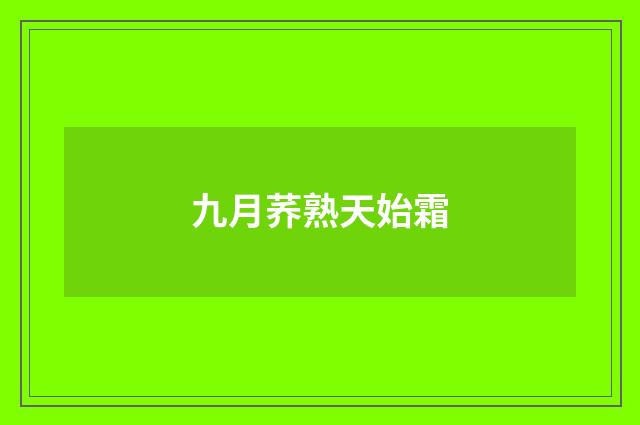 九月荞熟天始霜