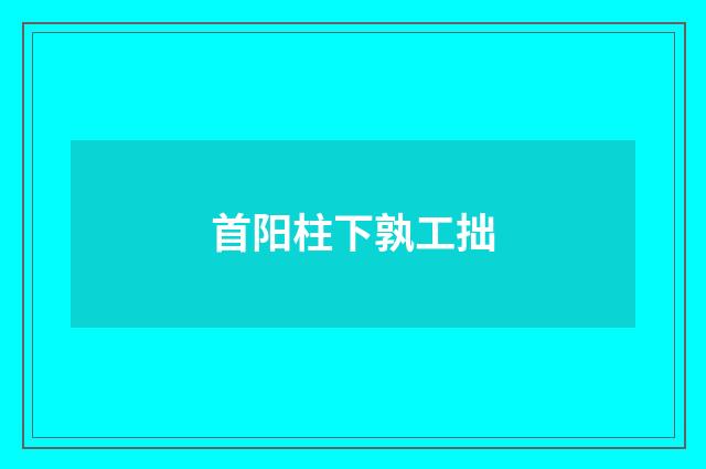 首阳柱下孰工拙