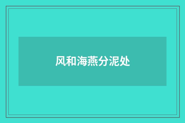 风和海燕分泥处