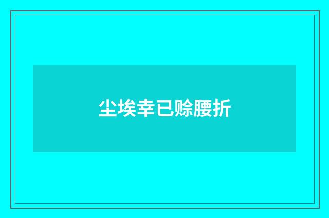 尘埃幸已赊腰折