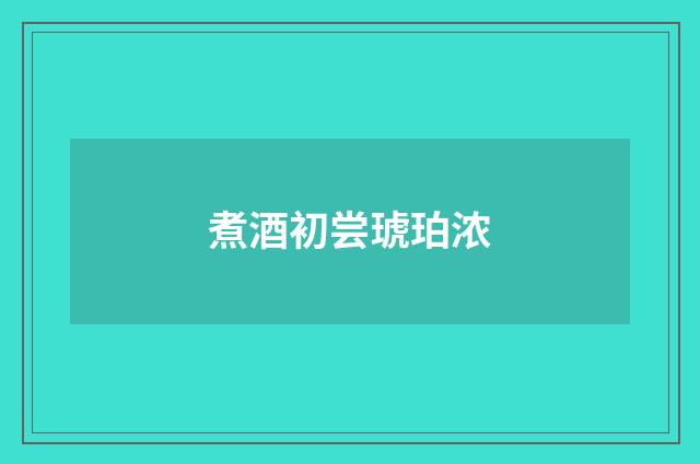 煮酒初尝琥珀浓