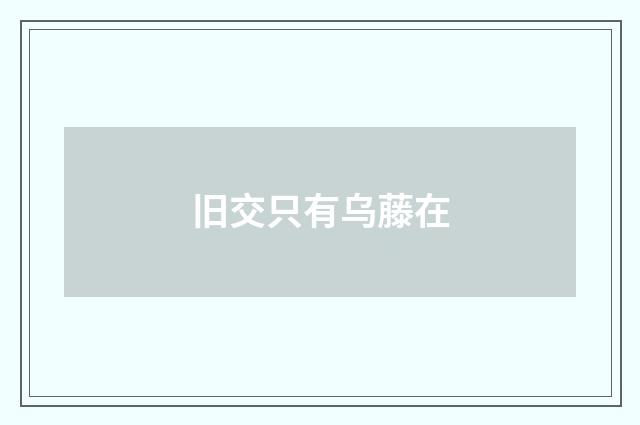 旧交只有乌藤在