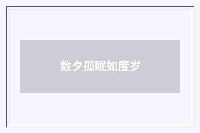 数夕孤眠如度岁