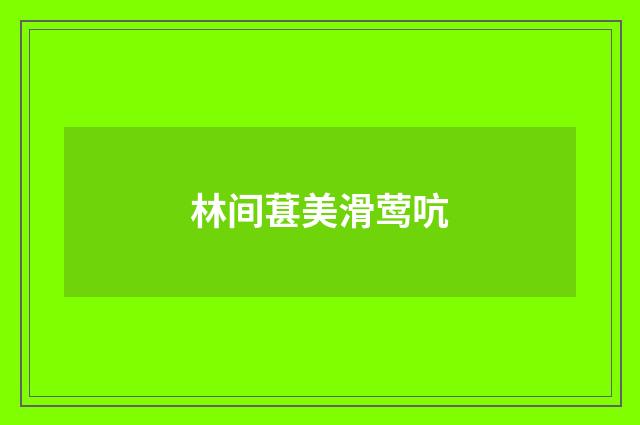 林间葚美滑莺吭