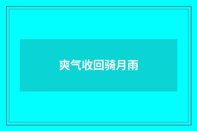 爽气收回骑月雨