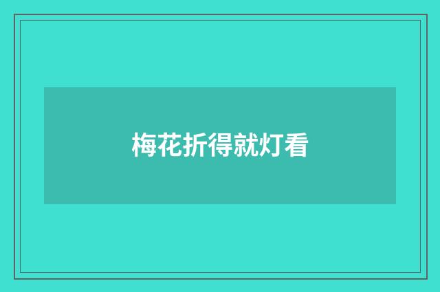 梅花折得就灯看