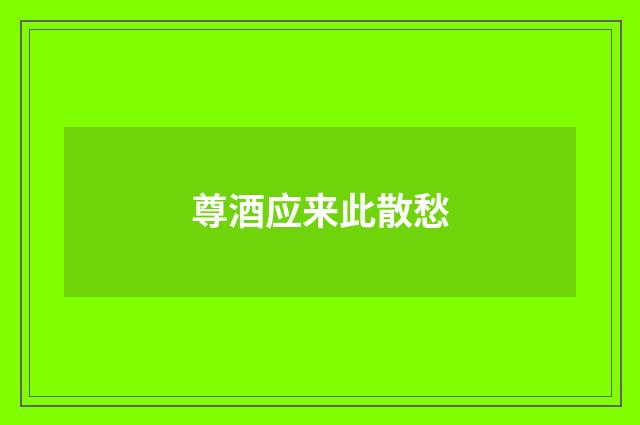 尊酒应来此散愁