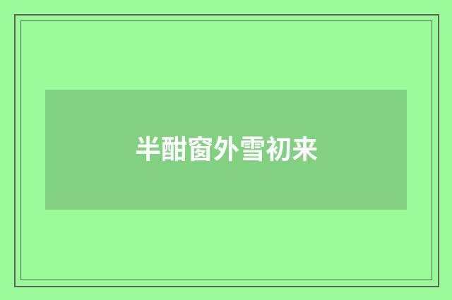 半酣窗外雪初来