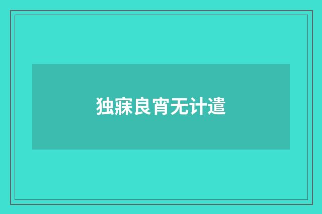 独寐良宵无计遣