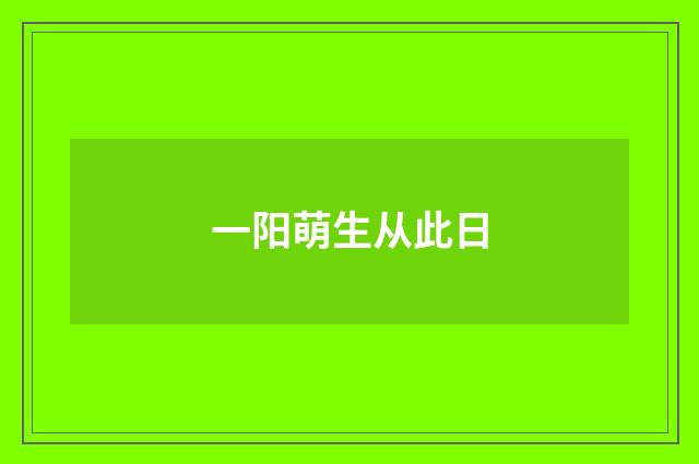 一阳萌生从此日