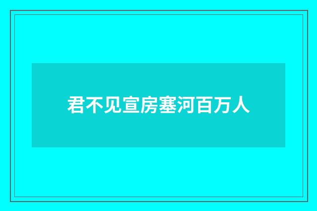 君不见宣房塞河百万人