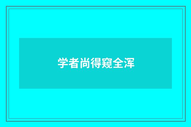 学者尚得窥全浑
