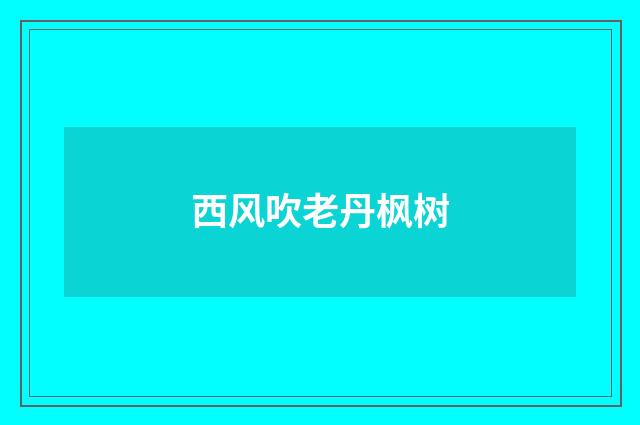 西风吹老丹枫树