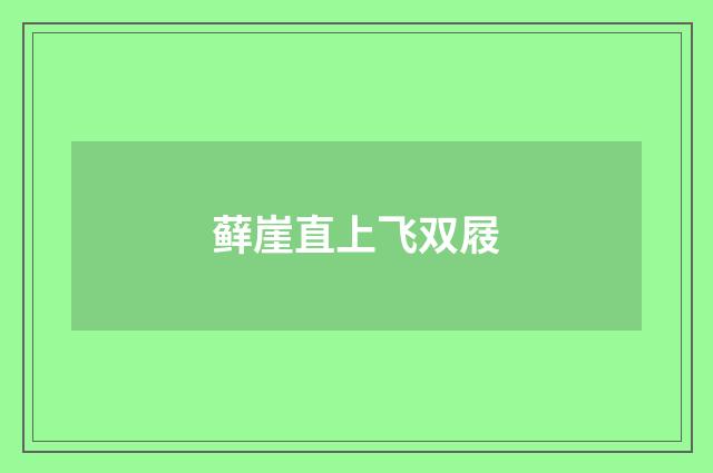 藓崖直上飞双屐