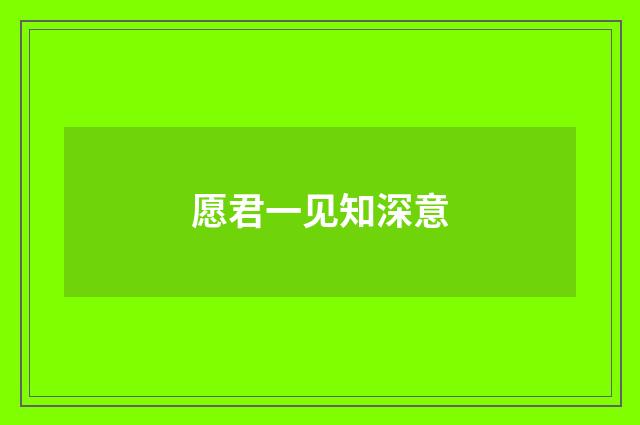 愿君一见知深意