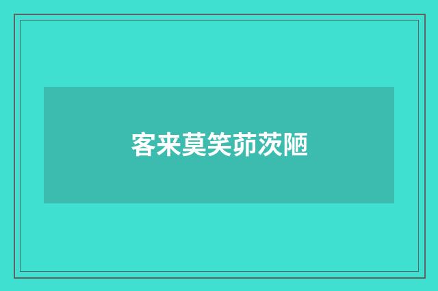 客来莫笑茆茨陋