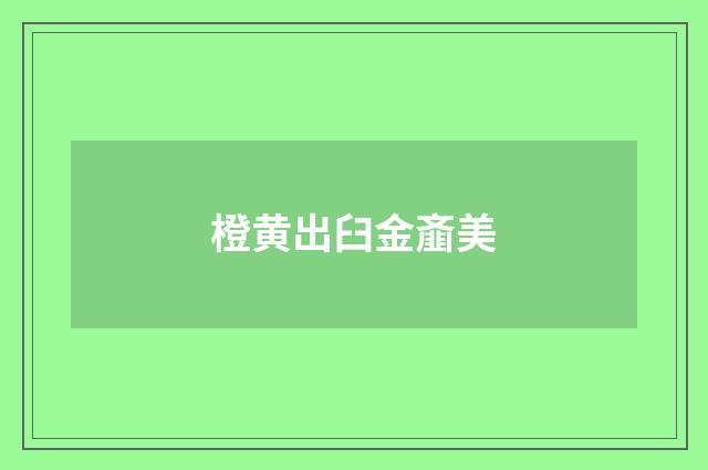 橙黄出臼金齑美
