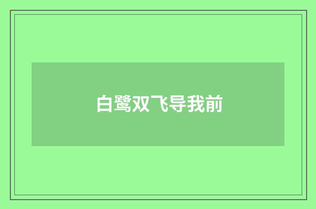 白鹭双飞导我前
