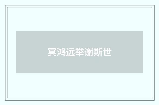 冥鸿远举谢斯世
