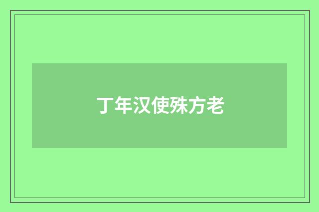 丁年汉使殊方老