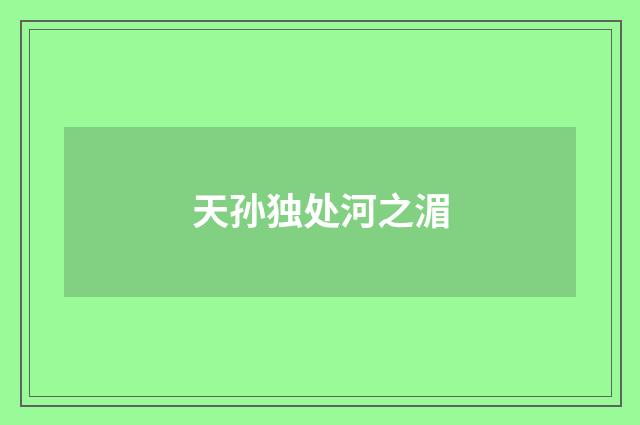 天孙独处河之湄