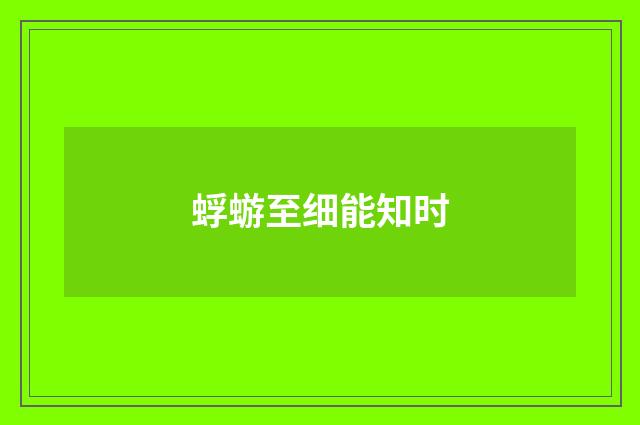 蜉蝣至细能知时
