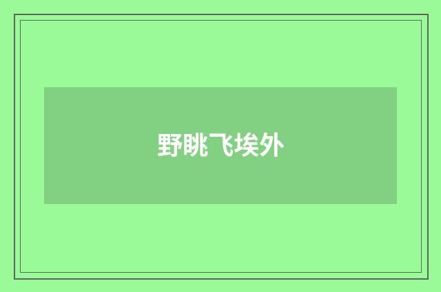 野眺飞埃外
