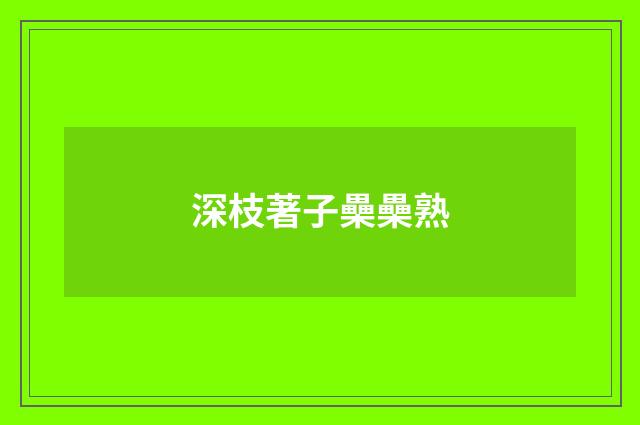 深枝著子櫐櫐熟