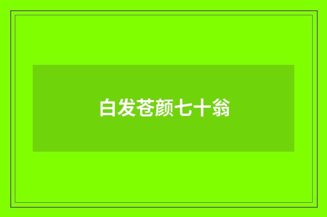 白发苍颜七十翁