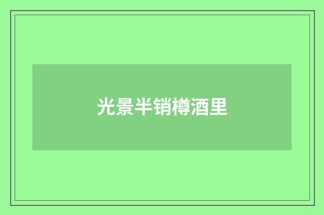光景半销樽酒里