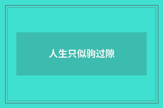 人生只似驹过隙