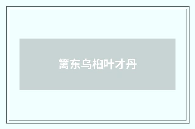 篱东乌桕叶才丹