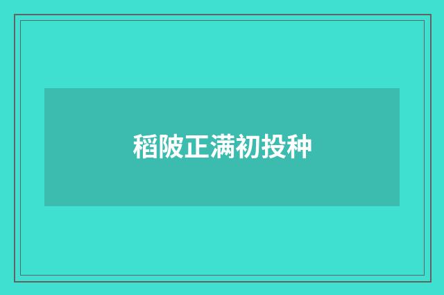 稻陂正满初投种