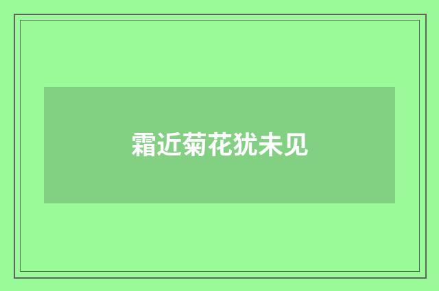 霜近菊花犹未见