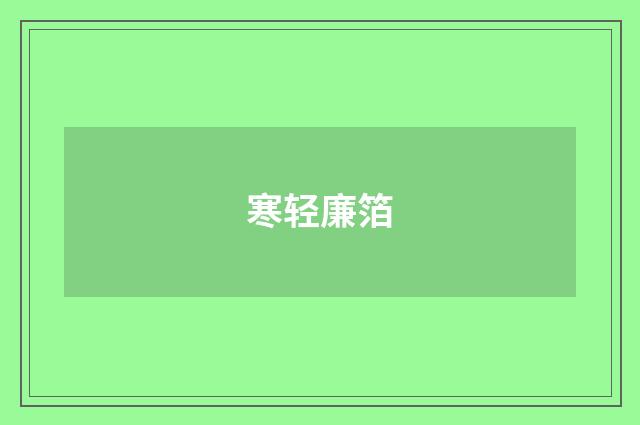 寒轻廉箔